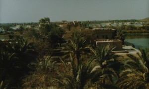A view of lakes and palms in the BIAP area.